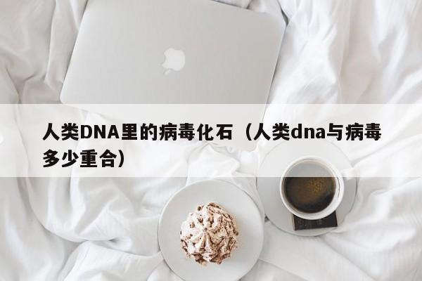 人类DNA里的病毒化石(人类dna与病毒多少重合)